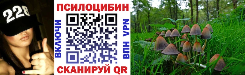 Псилоцибиновые грибы Psilocybe  Чудово 