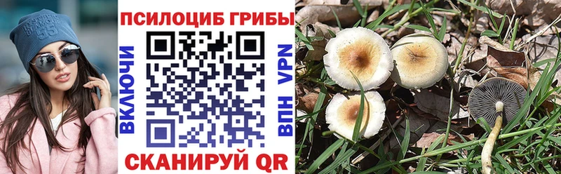 Галлюциногенные грибы ЛСД Чудово