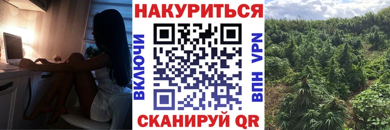 Бошки марихуана MAZAR  купить закладку  Чудово 